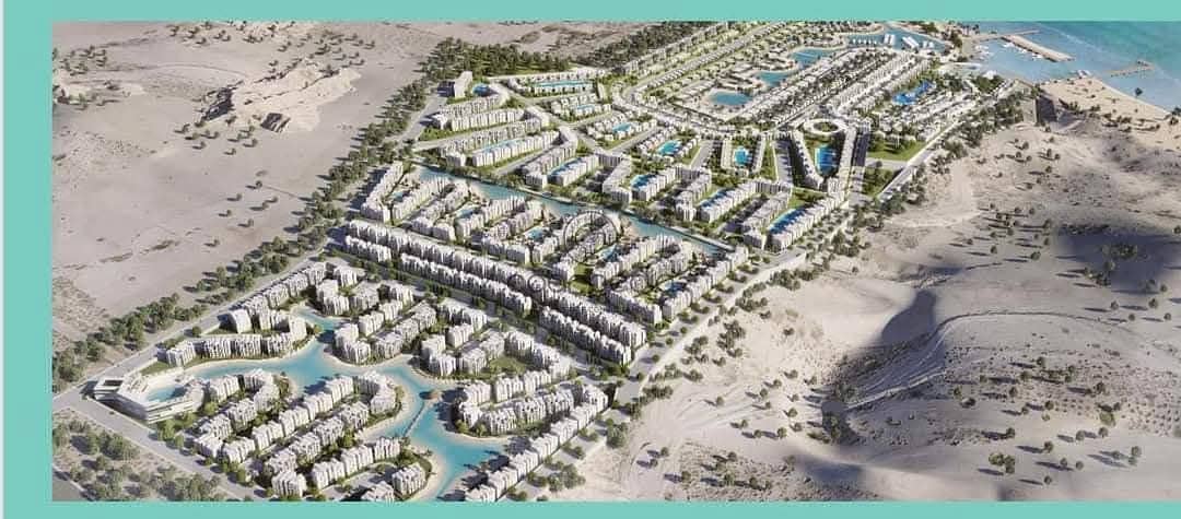 4 WhatsApp Image 2025-02-18 at 4.29. 35 PM (2). jpeg