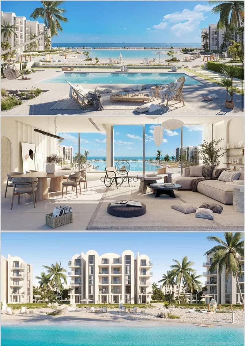 5 WhatsApp Image 2025-02-18 at 4.29. 36 PM (1). jpeg