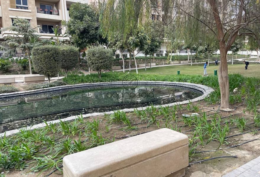 4 59dcc644-c002-43d6-9756-7fcce5dca0a6. jpg