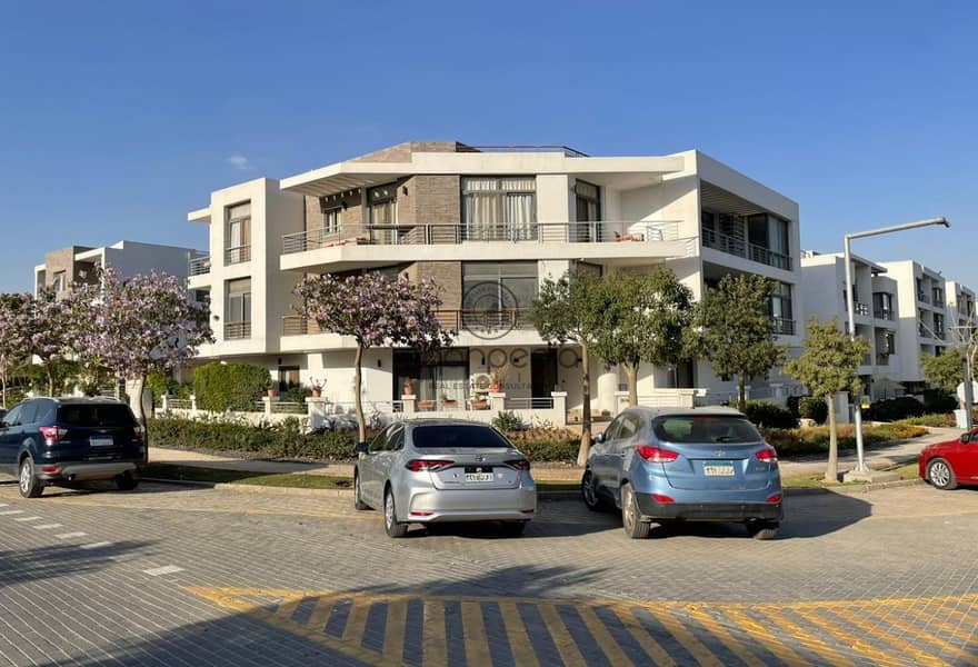 5 77fc5f64-d370-4507-878d-36bb1ab9dfec. jpg