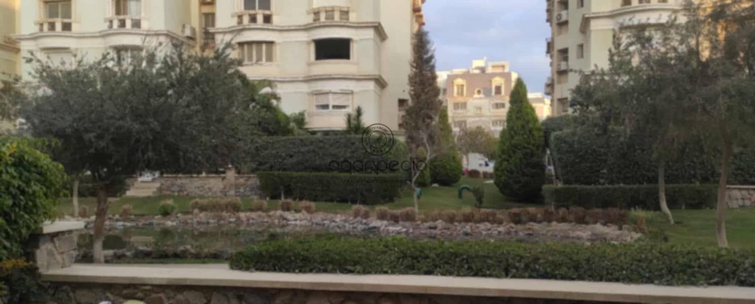 10 WhatsApp Image 2025-10-12 at 5.27. 46 PM. jpeg