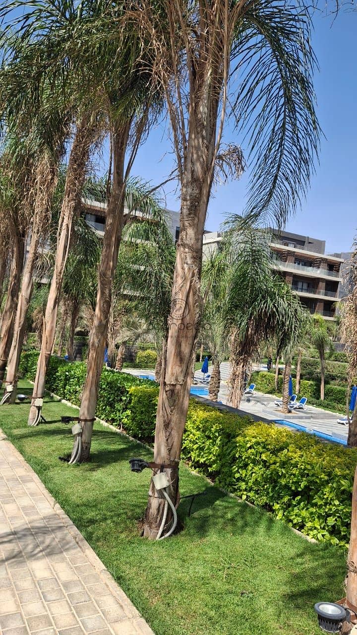 4 WhatsApp Image 2025-10-23 at 3.22. 05 PM. jpeg