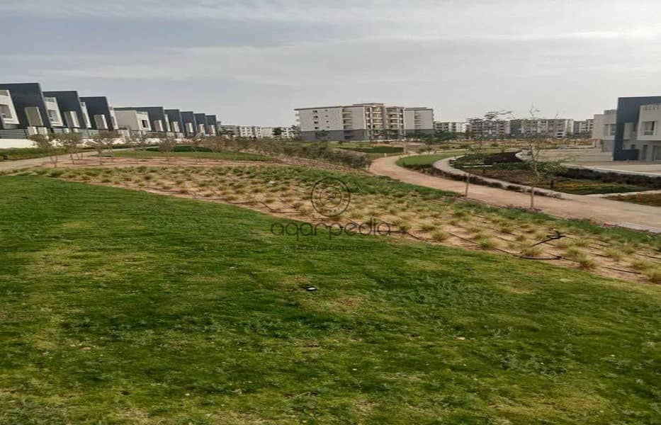 4 WhatsApp Image 2024-11-21 at 4.22. 47 PM. jpeg