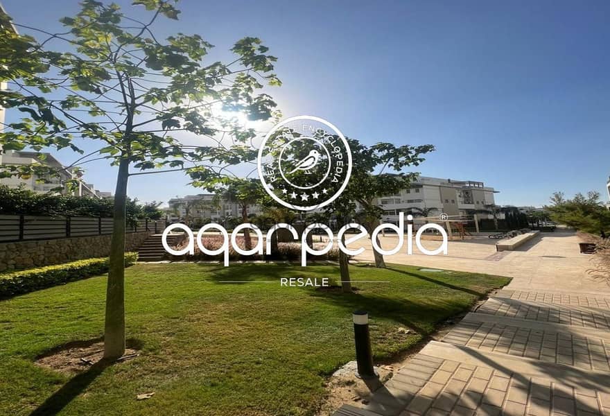 2 a7c67e55-e6d8-11ef-a5de-029d92a6c0ee-00b0f5cd-0087-4a14-a9f7-4e7d7c989c12. png