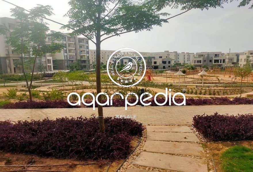 5 a798bd38-e6d8-11ef-8637-cad381b021d6-a4d1485f-78a9-4fb8-912a-0e6c209d3e79. png