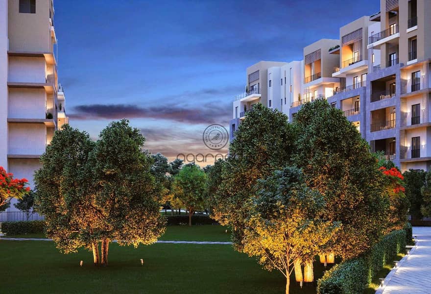 2 2cfc4022-22e3-4b84-882f-387797f7ed91. jpg