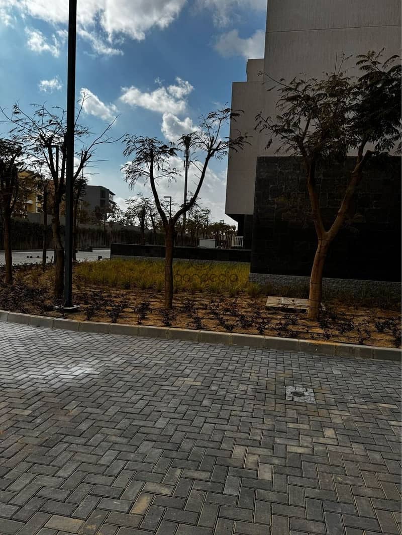 5 62829443-b693-4cc3-8055-55301abf9da4. jpeg