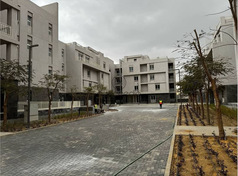 9 ed83d4de-3a78-4f69-9c72-04efbf70864e. jpeg