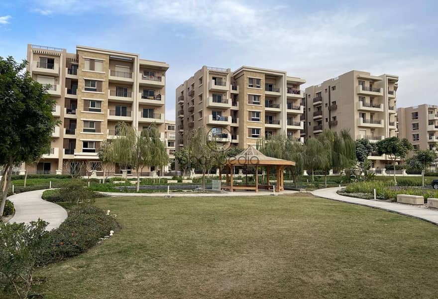 8 39be8a60-e5b6-4db9-b05d-6c70d4483e32. jpg