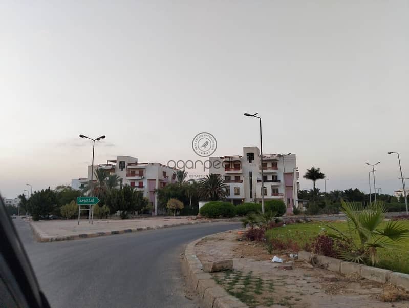 3 WhatsApp Image 2025-10-02 at 2.31. 50 PM. jpeg