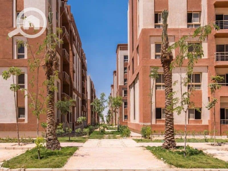 5 WhatsApp Image 2025-04-26 at 2.32. 10 PM (1). jpeg