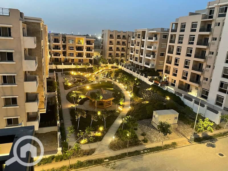 11 482273493_23904635819137443_6197593172379267380_n. jpg