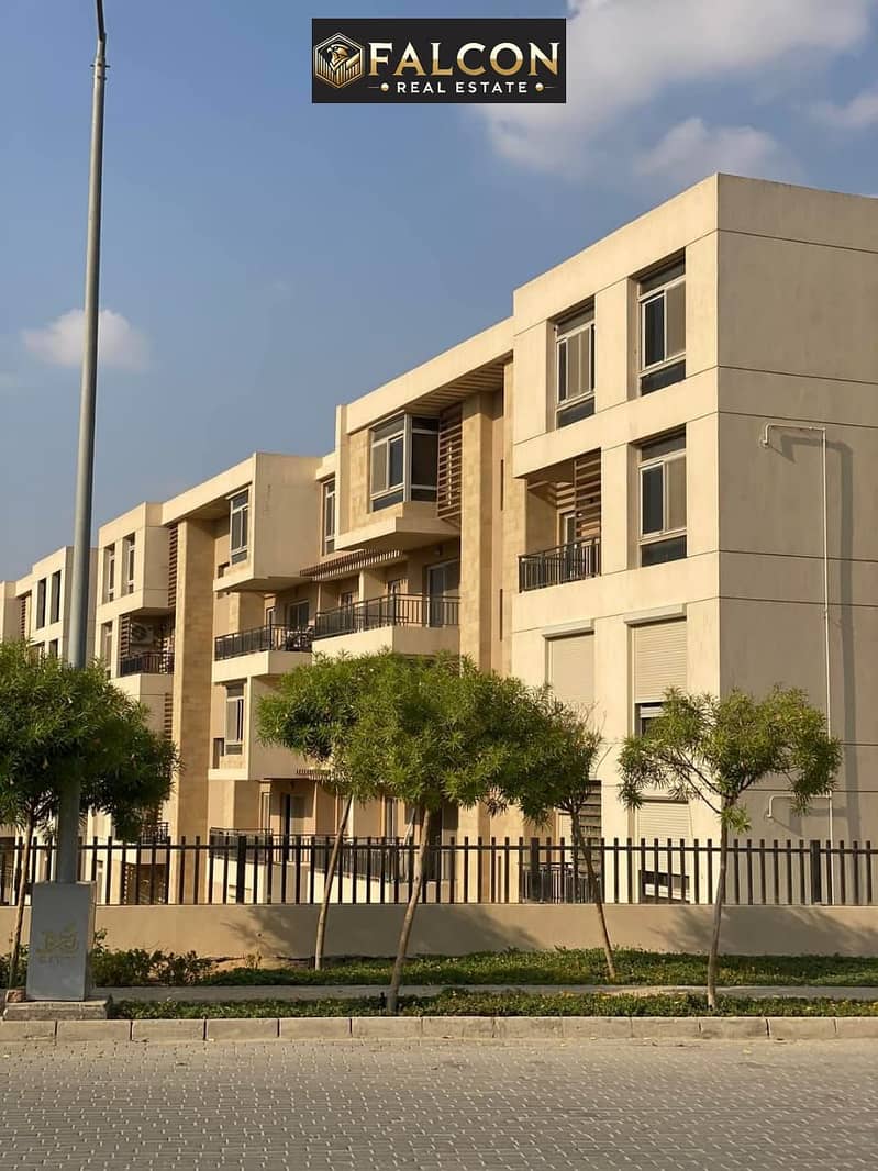 7 475074412_1683056319226658_6071327890864387896_n. jpg