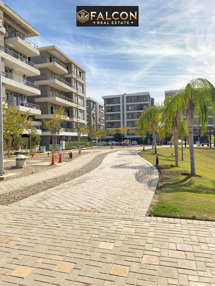 6 560495383_1319590399157007_5345082789104837322_n. jpg