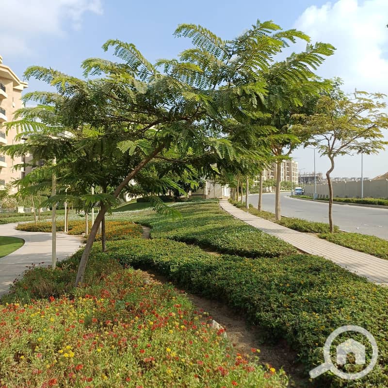 3 WhatsApp Image 2025-11-06 at 00.42. 28_60d6adf6. jpg