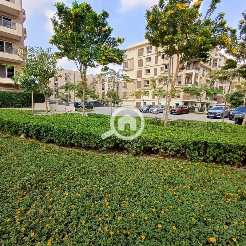 5 WhatsApp Image 2025-11-06 at 00.42. 26_2441641f. jpg