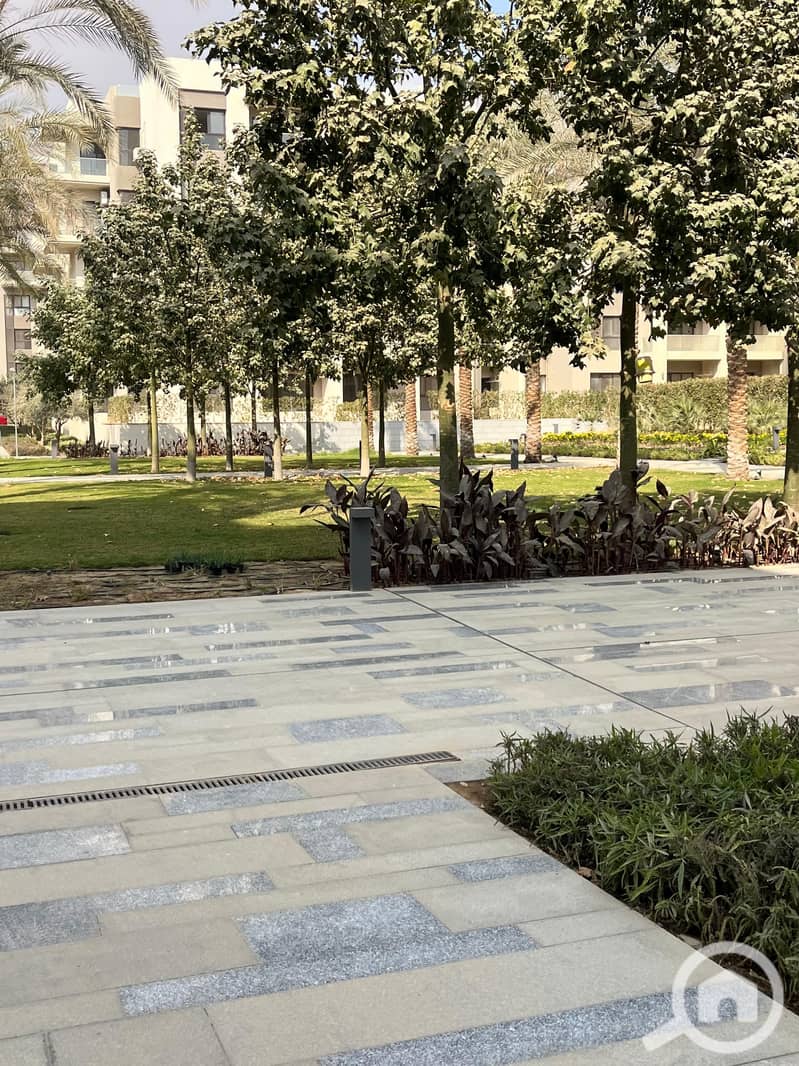 3 9c4fdeb3-1c6f-4dc6-aca4-81e996db60db. jpg