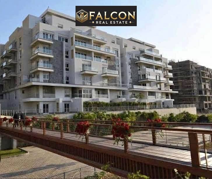 8 431474855_1512516562626628_5180458446057284189_n. jpg