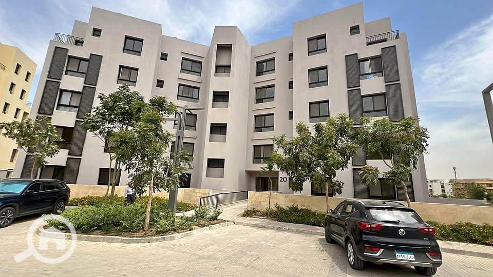 8 547638327_4034965743485610_5853470682541446200_n. jpg