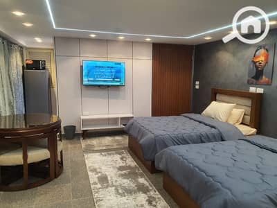 Studio for Rent in Nasr City, Cairo - 1000105963. jpg
