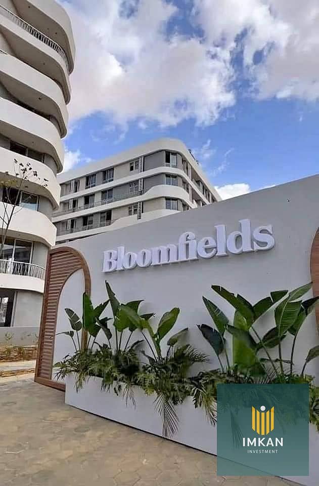 5 463756726_3869278133312964_595756428044426323_n. jpg