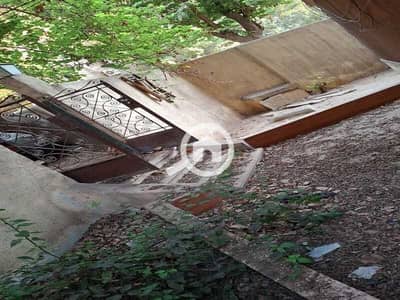 3 Bedroom Apartment for Sale in Maadi, Cairo - WhatsApp Image 2025-09-17 at 8.13. 24 PM (1). jpeg