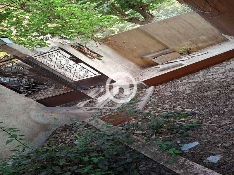 WhatsApp Image 2025-09-17 at 8.13. 24 PM (1). jpeg WhatsApp Image 2025-09-17 at 8.13. 24 PM (1). jpeg