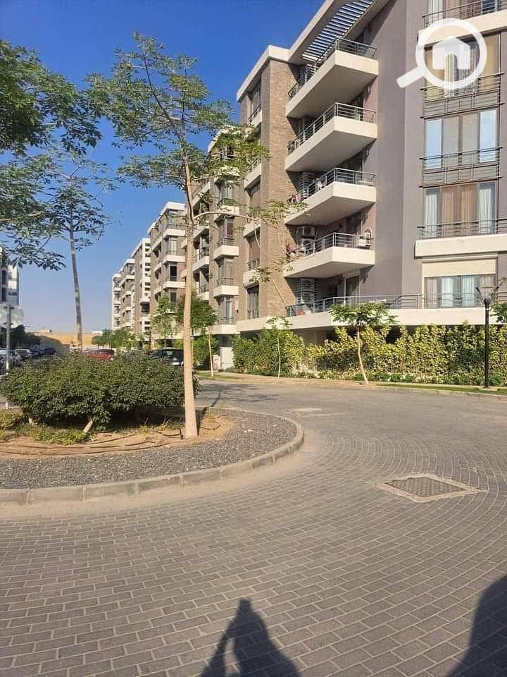 13 499796643_1264234035062753_2691817148546583081_n. jpg