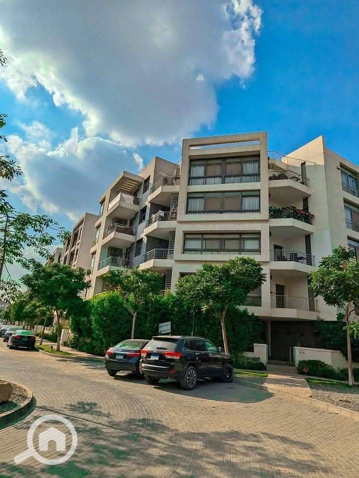 15 544950131_122185654910551025_4281229771929838271_n. jpg