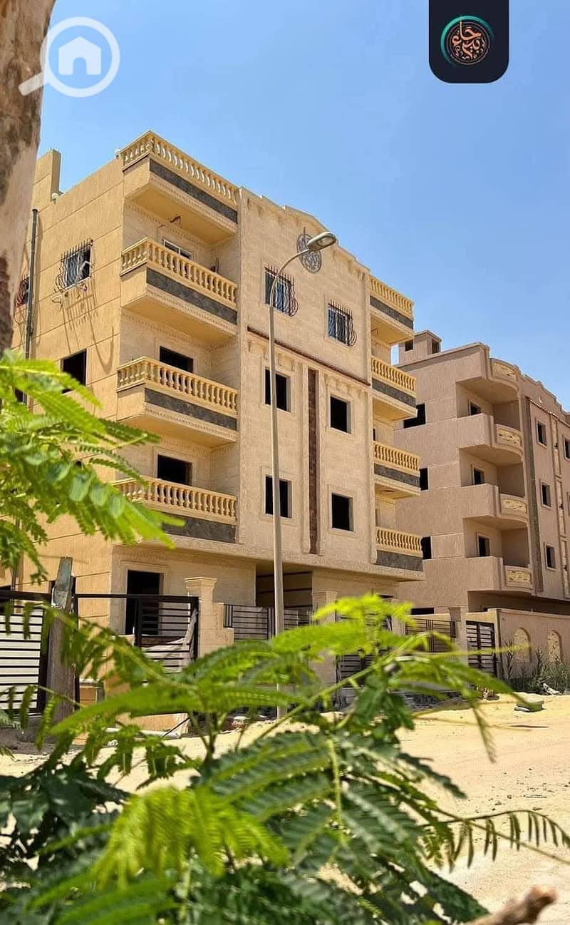 3 482251884_1184020303302550_5201227703282077032_n. jpg