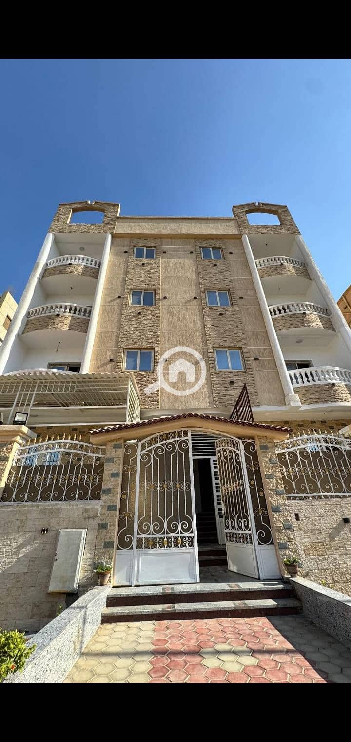 8 549352324_122192074184284898_2148822242334899484_n. jpg