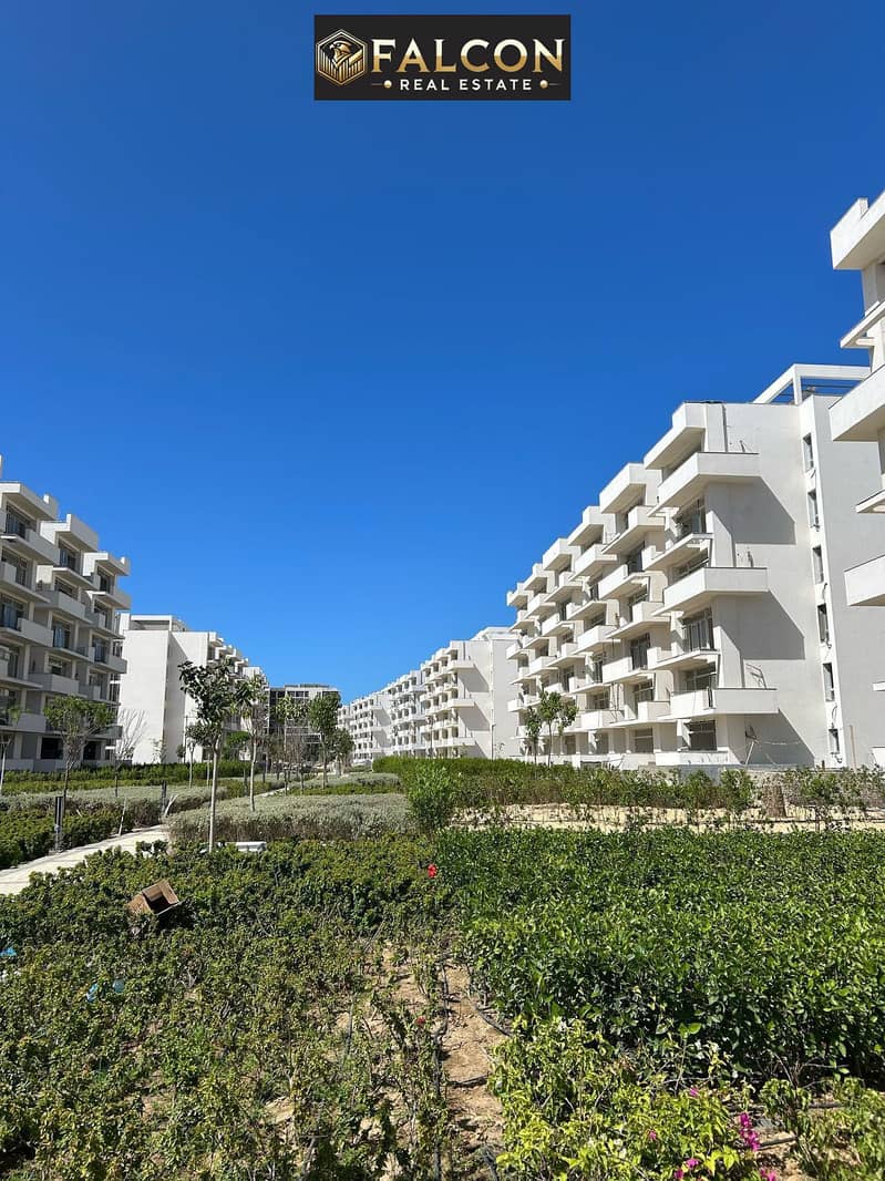 8 571325337_122226974456155132_8039953363802428437_n. jpg