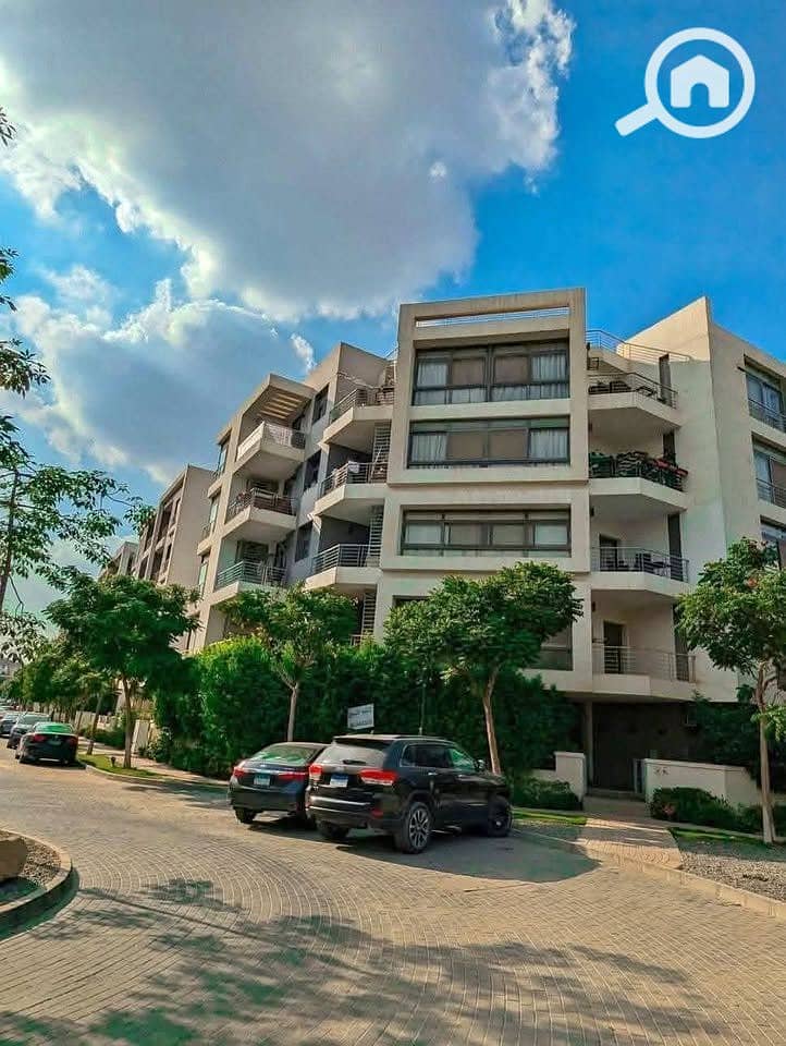 12 544950131_122185654910551025_4281229771929838271_n. jpg