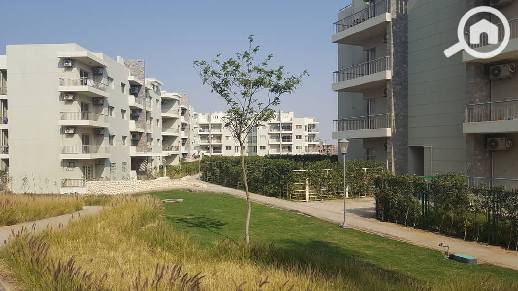 3 20170326_150842. jpg