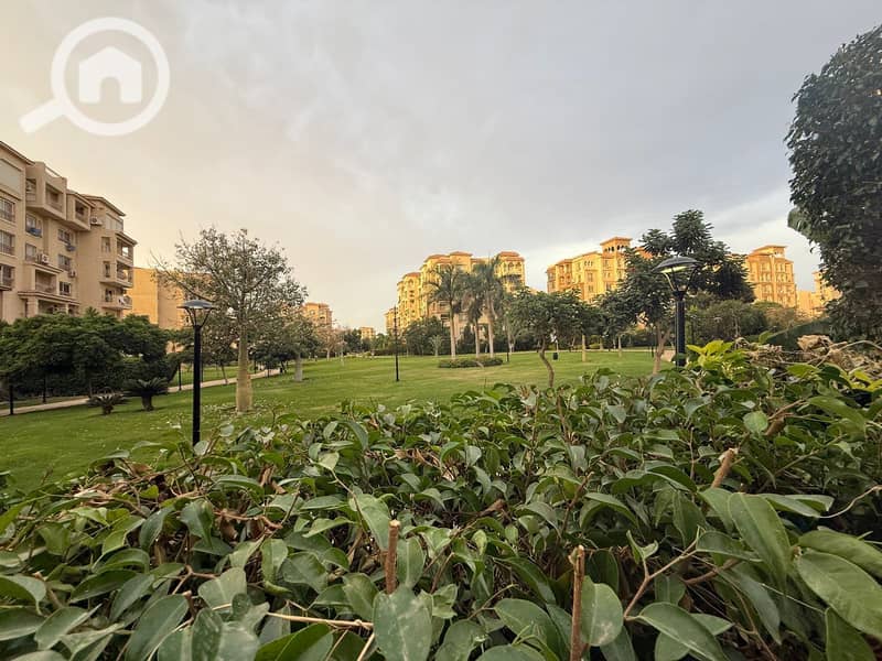 7 WhatsApp Image 2025-11-06 at 14.37. 47_c1af61d2. jpg