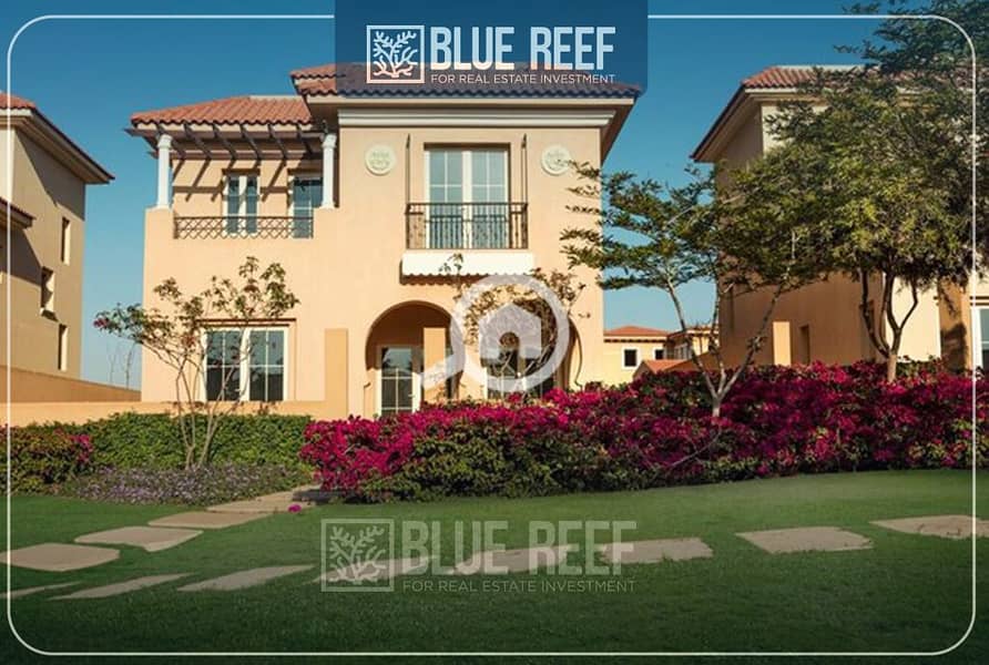 6 oiuytredsrgtrt. jpg