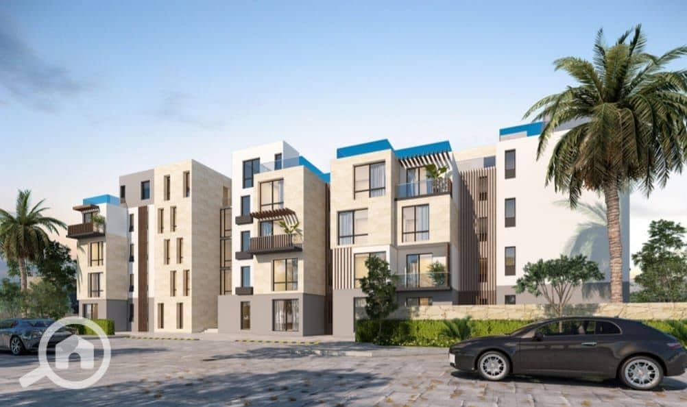 3 WhatsApp Image 2025-11-06 at 15.27. 41_dc8de649. jpg