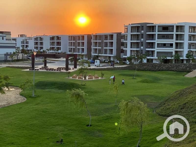 5 WhatsApp Image 2025-11-06 at 15.12. 43_beba7b52. jpg