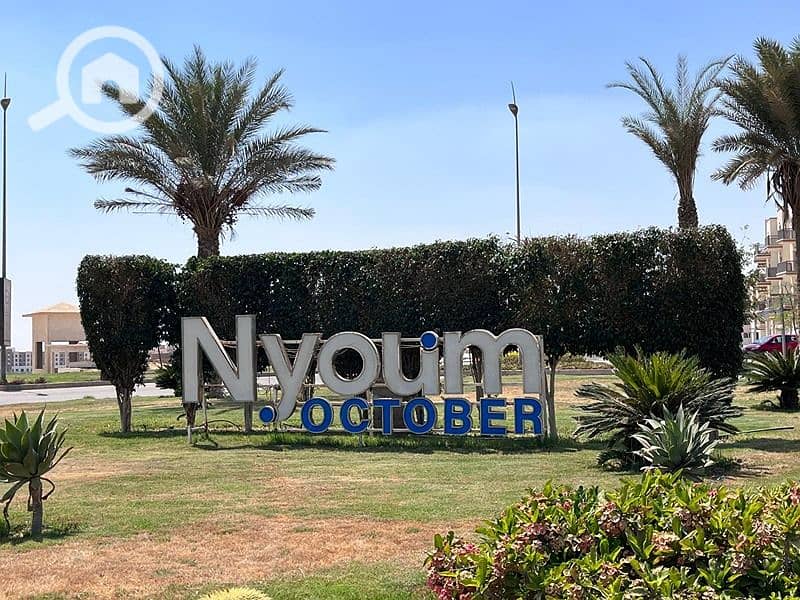 7 WhatsApp Image 2025-10-07 at 7.24. 47 AM (1). jpg