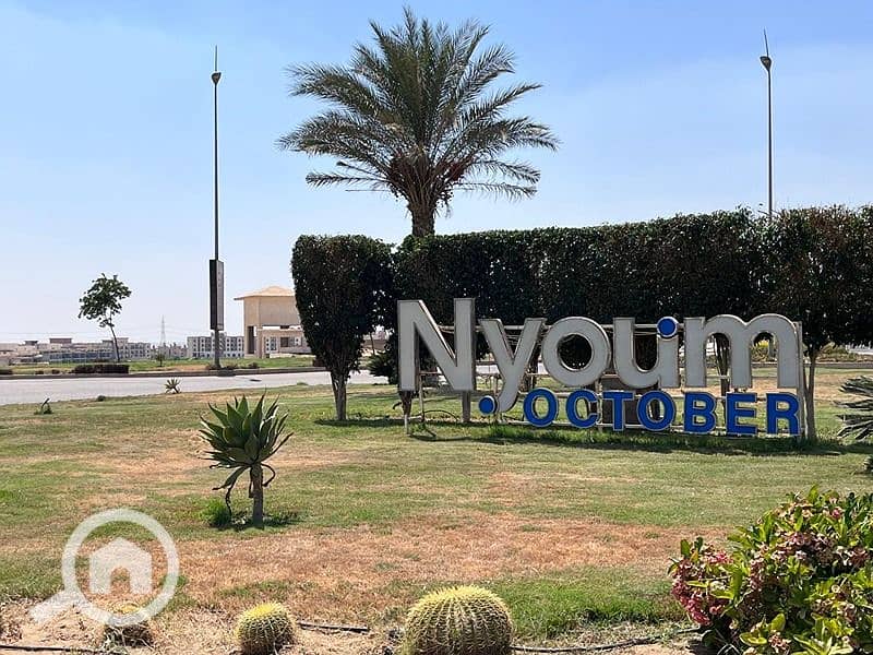 14 WhatsApp Image 2025-10-07 at 7.24. 45 AM. jpg