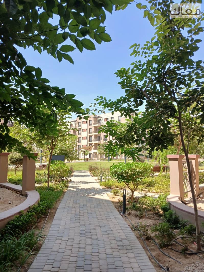 10 f361c28f-b8b3-41cc-a74a-c79b1ce78a62. jpg