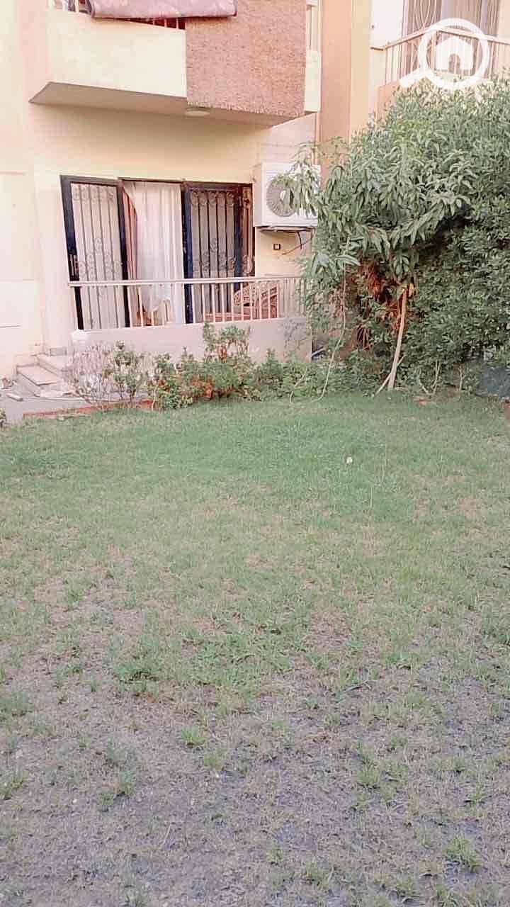 16 031083bd-826e-4802-bc88-628747b749b9. jpg