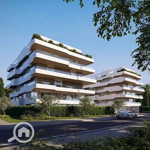 8 f9420162-7042-4cd6-85b6-5d8ede65fc33. jpg