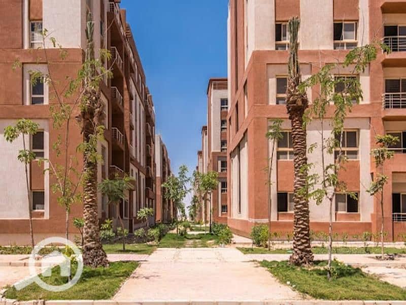 12 دجلة-بالمز-السادس-من-أكتوبر. jpg