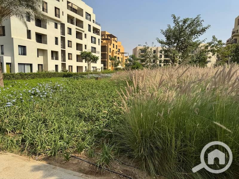 32 WhatsApp Image 2024-10-28 at 11.16. 08_d657dc4f. jpg