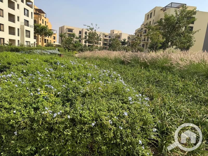 33 WhatsApp Image 2024-10-28 at 11.16. 09_8ade5558. jpg