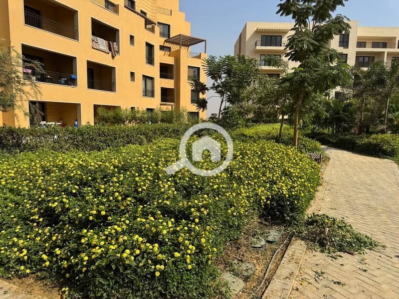 34 WhatsApp Image 2024-10-28 at 11.16. 10_8fa7bb6a. jpg