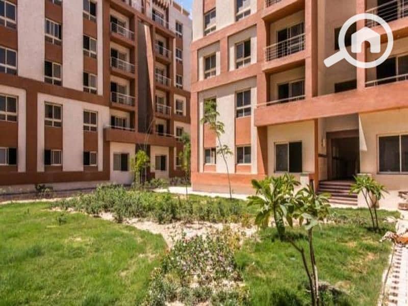 9 15512013248378002. jpg