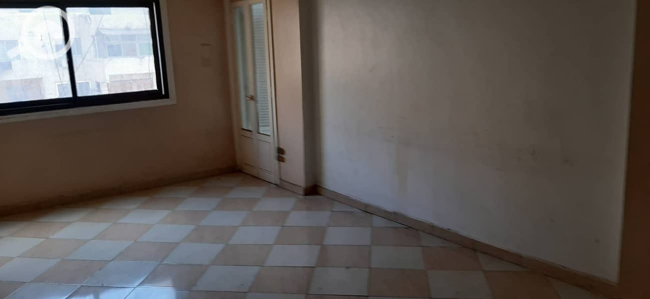 7 20250222_120430. jpg