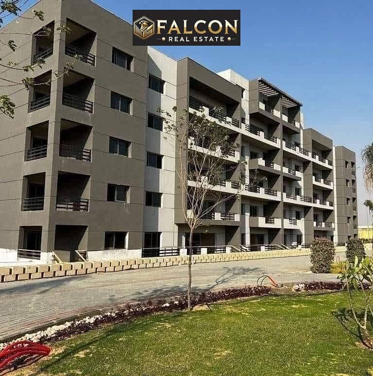 7 c2bf19ef-d995-4441-aa00-d32d748e85fb. jpg